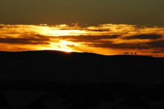 a7047771249796300-24868