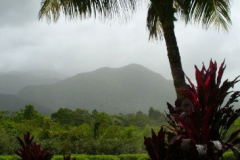 a7062471254174126-20106