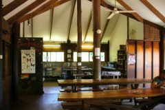 a7096511254173952-16265