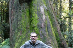 a7121071249796306-24868