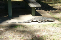 a7163831251532362-26734