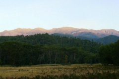 a7208681238665630-23783