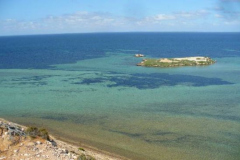 a7351101257805872-4100