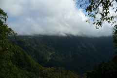 a7372311251533715-26734