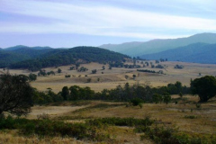 a7439781238665629-23783