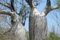 a7557071256858712-6468