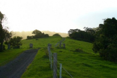 a7558131238065406-15961