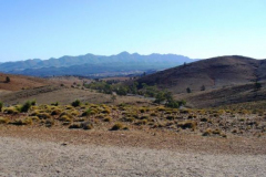 a7570441242907044-8697