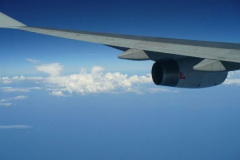 a7679771236825984-13923