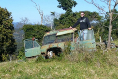 a7703881251532366-26734