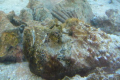 a7721211257805873-4100