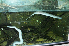 a7737871237593357-12097