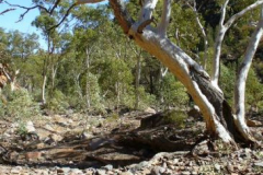 a7762771242907043-8697