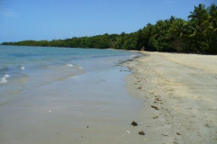 a7826221254174124-20106