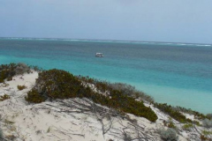 a7863621257805870-4100