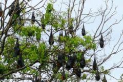 a7934361237092267-13466