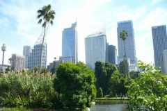 a8063981237092260-13466