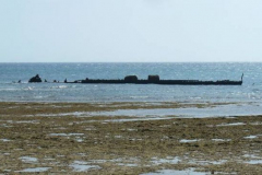 a8092611257805866-4100