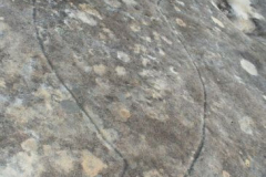 a8095481238062502-25119