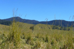 a8122371251532355-26734