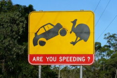 a8129451254173442-16265